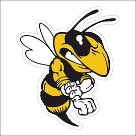 AMA shop sticker SHAPED BEE Funny PVC for Wall Decal Car Motorcycle Helmet Camper