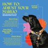 Marlio Adjustable Dog Harness - Stop Pulling, No Choke, Ensure