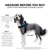 ShawnCo Essential Dog Harness, No-Pull Pet Vest with 3 Leash