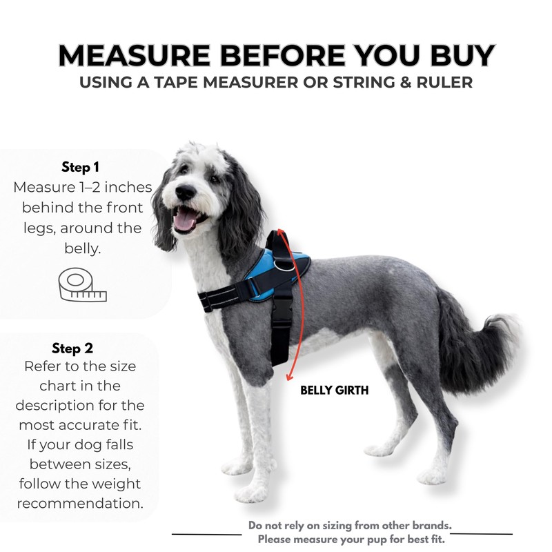 ShawnCo Essential Dog Harness, No-Pull Pet Vest with 3 Leash