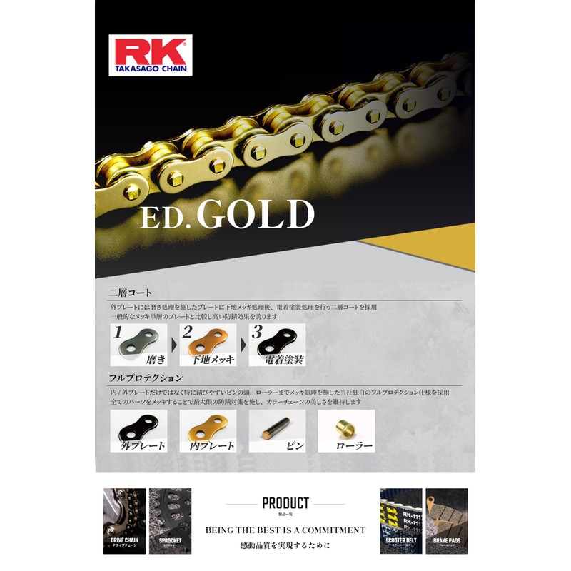 RK GV420MRU 100L Chain
