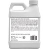 Recochem Inc. Recordsol Paint Thinner with Mineral Spirits - Low