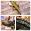 TONGMAN Ultra Soft Crocodile PlushToy (40cm Length) 3D SimulationCrocodile Plush