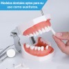 Paquete Dientes Compatibles Nissin Tipodonto