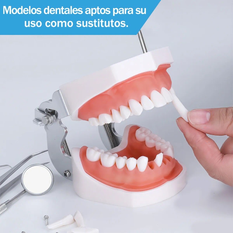 Paquete Dientes Compatibles Nissin Tipodonto