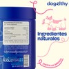 Dogelthy Gastro Aid. Pre + Probioticos con +3 Billones de