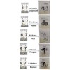 RZJZGZ 500 pcs Orthodontic Elastic Bands Dental Orthodontic Elastics Latex