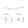 Silver Happy Sweet 16 Birthday Banner, Glitter Happy 16th Birthday