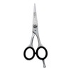 Sandbros 4.5 inch Professional Hair Scissors Hairdressing Scissors Salon Barber