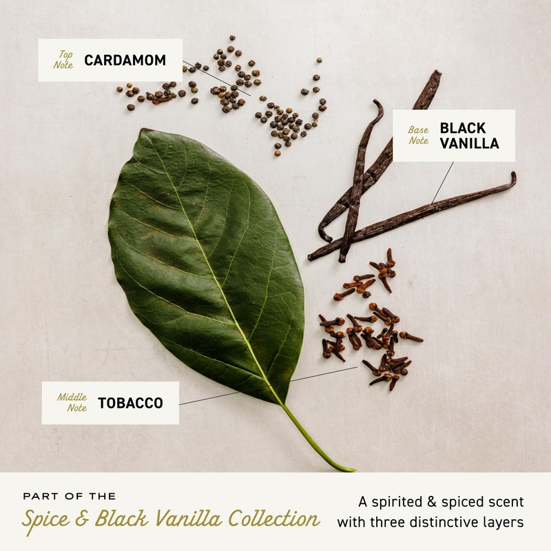Cremo Cologne for Men - Spice & Black Vanilla Mens
