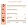 Mr Pandaa 100% Giza Egyptian Cotton Dreams Sheet Set, Long-Staple