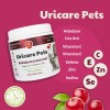 Suplemento Natural Problemas Urinarios Perros Y Gatos 2 Pack