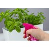 Professionelle Sprühflaschen klein - 200ml für Pflanzen, Blumen und Friseurbedarf
