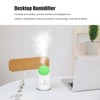 280ml Cactus Desktop Humidifier USB Power Supply Mute Nano Atomization