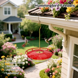 Awvlvwa 1-Pack 16oz Hummingbird Feeders for Outdoor – 5 Feeding Ports, Leak-Proof Hanging Bird Feeder with Cleaning Brushes, Ruby Red Garden Décor & Gifts for Bird Lovers (5-Port(1 Pack))