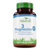 3 Magnesios 60 Tabletas Vidanat Mejora El Rendimiento Sabor Sin