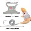 Crested Geckos Travel Carrier with Security Printing Harness Leash Set,Lizard