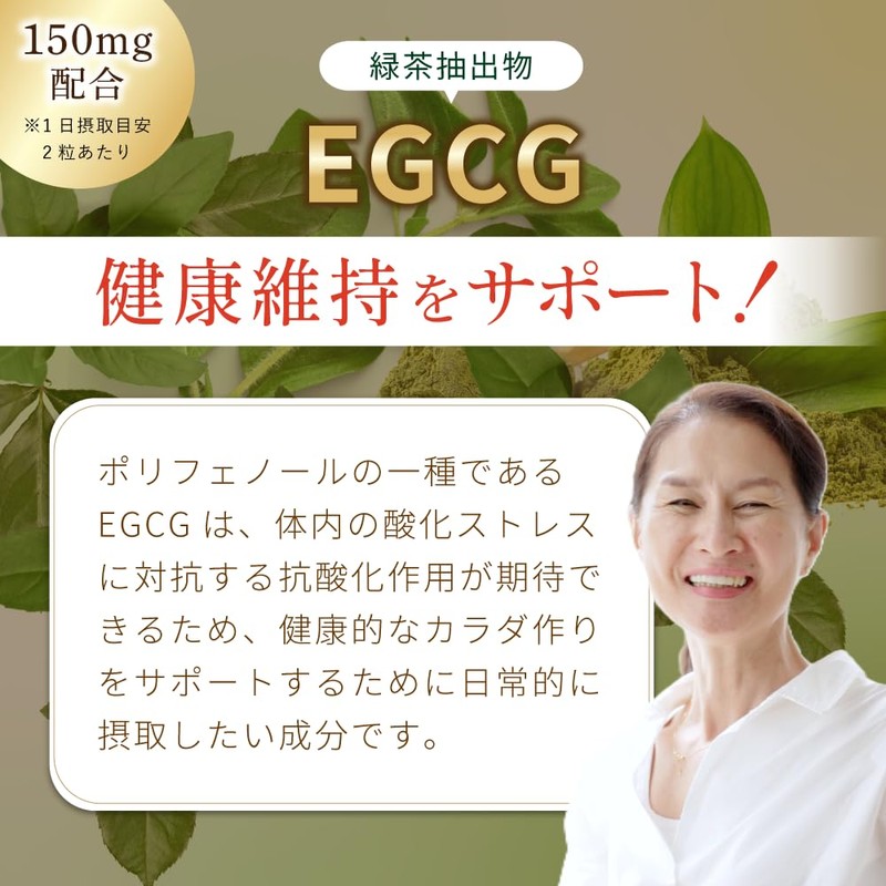 菊の花とカテキンのチカラ