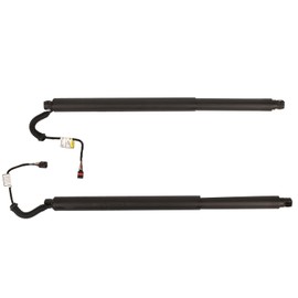GELUOXI 2PCS Rear Left and Right Liftgate Power Lift Cylinder Struts Replacement for Nissan Murano Sport Utility 3.5L V6 2015-2019 905615AA0B 905605AA2A