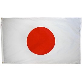 Japan - 5' x 8' Nylon World Flag