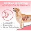 Aceite De Salmón Omega 3 Y 6 Para Perros Y