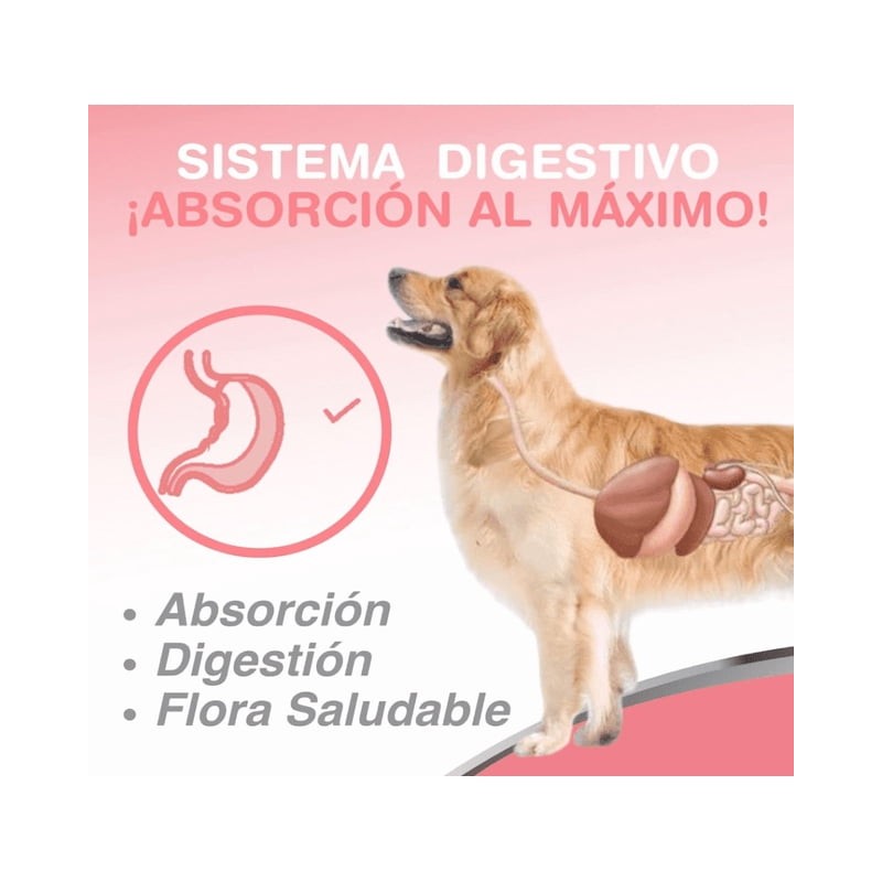 Aceite De Salmón Omega 3 Y 6 Para Perros Y
