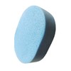 Premium Thick Sea Sponge Random 20ea