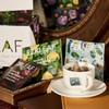 EZR Leaf Herbal Tea Assortment Box 22CT, Presentation Sampler, Gift