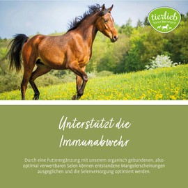 tierlieb Selenium Tablets for Horses, with Vitamin E, ADMR Compliant, Diet Supplement Food, 500 Tablets