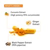 Curcumin 95 Capsules with Ginger & Black Pepper | Antioxidant