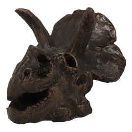 Ebros Gift Faux Taxidermy Replica Dinosaur Head Fossil Small Skull Figurine Resin in Faux Bronze Finish Prehistoric Skeletons Jurassic Fossils Decor Figurine Model (Triceratops 'Three Horns')