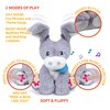 KiddoLab Peek-A-Boo Donkey: Soft Stuffed Animal Toy for Infants 6-18