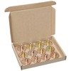 12 PCS Zinc Plated Round Tee Nuts,3-Hole T-Nuts for Furnitures