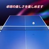 Sanung Table Tennis Net, Pack of 2, Tension Adjustable Ping