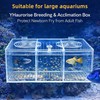 YHaurorise Acrylic Breeding Box Fish Trap Aquarium Container, Acclimation Isolation