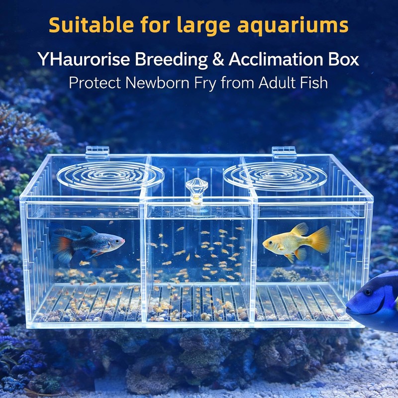 YHaurorise Acrylic Breeding Box Fish Trap Aquarium Container, Acclimation Isolation