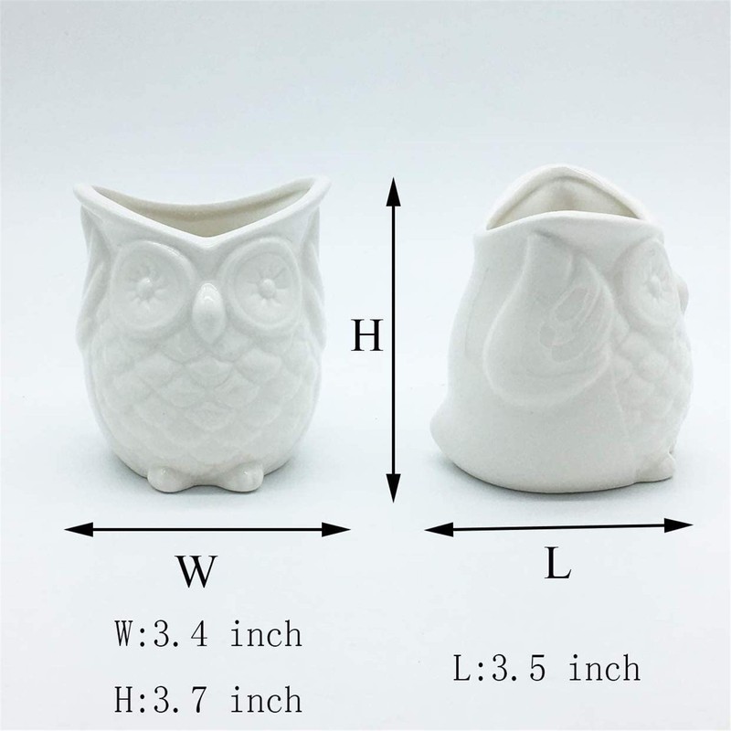 Ceramic Owl Succulent Planter Pot with Drainage Tray, Cute Animal