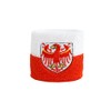 Flaggenfritze Sweatband with Italian Flag Design South Tyrol, Set of