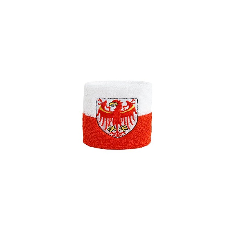 Flaggenfritze Sweatband with Italian Flag Design South Tyrol, Set of