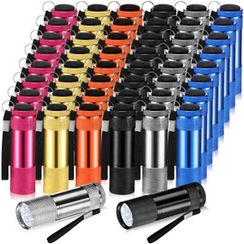 VIHOSE 48 Pcs Mini Flashlights Bulk, Bright Aluminum Handheld Flash Light with Lanyard, Small LED Flashlights for Kids Night Reading Emergency Hurricane Camping Hiking Party Favors(Stylish Color)
