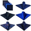 Shlax&Wing Pack of 5 Assorted Handkerchiefs for Men Square Size
