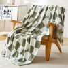 Viviland Checkered Throw Blanket, Sage Green Microfiber Soft Cozy Fluffy