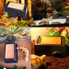 Hamiledyi Reptile Hide Box Gecko Hideout Cave with Sink Humidifier
