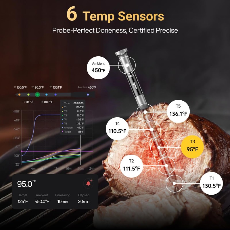 Typhur Sync Gold Wireless Meat Thermometer, Enhanced 10X Sub-1G Signal