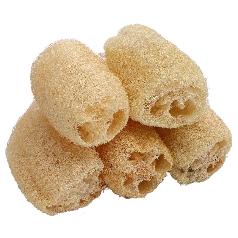 Loofah Dish Sponge, 5 Pack Natural Vegetable Scrubber for Kitchen,