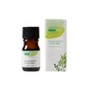 Tree of Life Friend Essential Oil Eucalyptus & Tea Tree 5ml