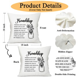 Friendship Gifts for Women Friends Throw Pillow Cover 18x18, Inspirational Gifts for Friend Bestie Birthday Gifts for Women Friendship Soul Sister Gifts Thank You Gifts Home Office Sofa Bed Decor -19