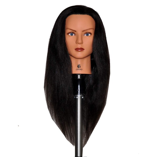 Bellrino 24" Cosmetology Mannequin Manikin Training Head with Human Hair - Lindsey (LINDSEY) (LINDSEY)