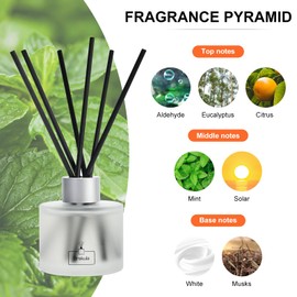 Brakula Eucalyptus & Mint Reed Diffuser Set, Home Fragrance Oil Diffuser with 8 Sticks for Room Decor, 3.4 oz/100 ml