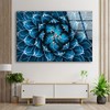 Myphotostation Blue Agave Wall Art Tempered Glass Wall Art 20x20''